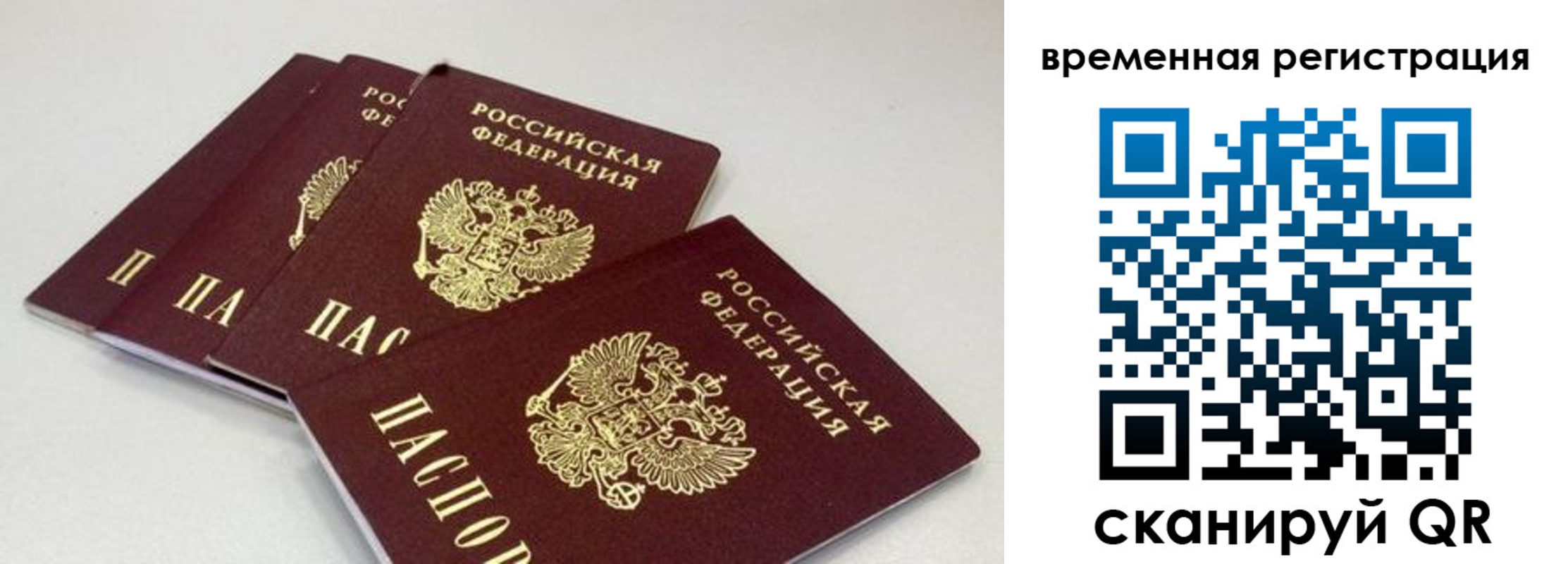 временная регистрация собственник в Курской области